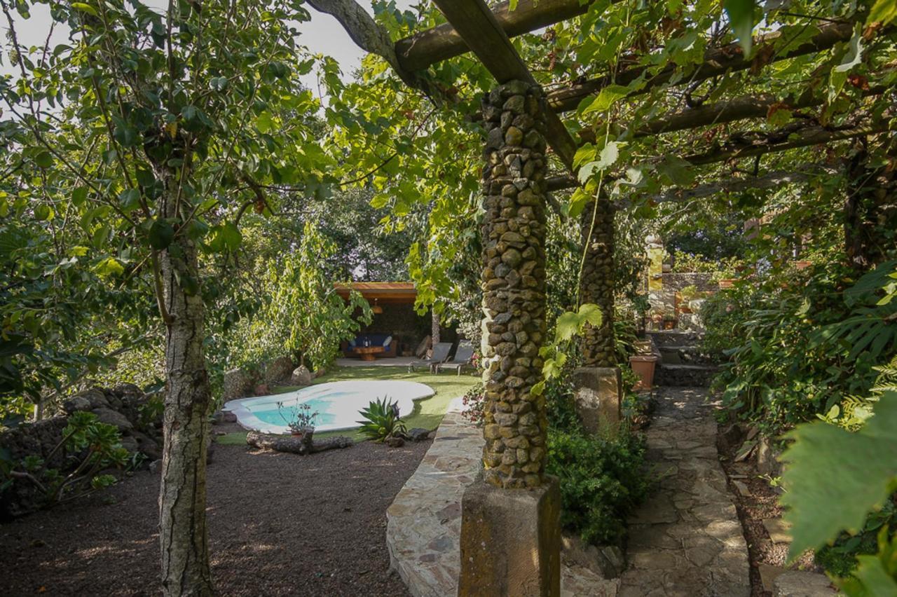Villa Los Matos Pool And Garden Valleseco Kültér fotó